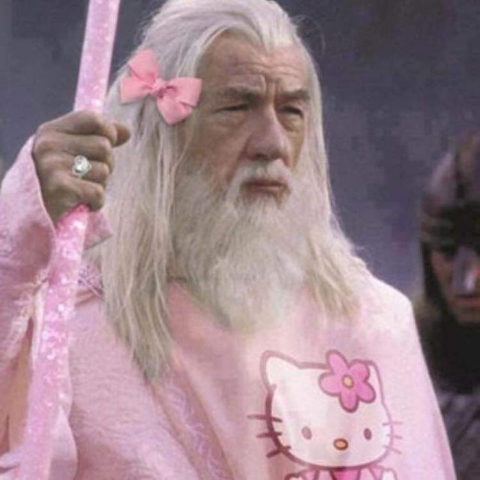 El señor de los anillos