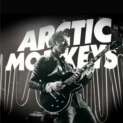 Collection of Arctic Monkeys in a gallery layout