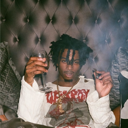 Collection of Playboi carti in a gallery layout