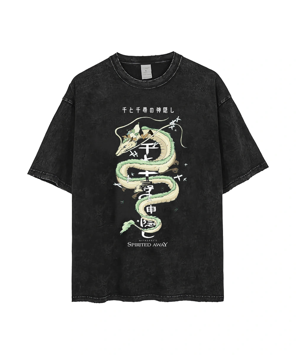 Collection of Haku x chihiro acid in a gallery layout